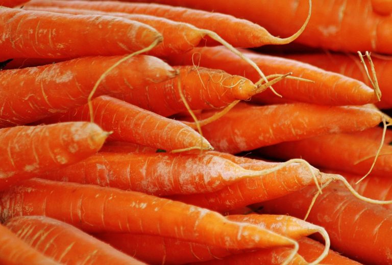blanch carrots for freezing